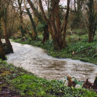 Придошла река отнесе и уби мъж 