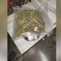 С помощта на отряд „Кобра“ е разбита група за производство и разпространение на дрога (СНИМКИ и ВИДЕО)