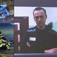 Две години след смъртта на Навални: Западът обвини Кремъл в убийството му с отрова от жаба