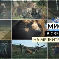 bTV Репортерите: Мисия - В света на мечките