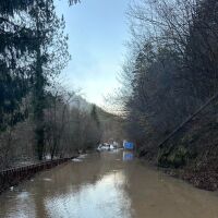Проливни дъждове активираха свлачища в Смолянско: "Дерета се стичат като реки по пътя"