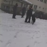 Психиатърът д-р Веселин Герев за случая „Петрохан“: Най-агресивни са интелигентните психопати