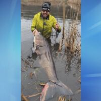 Гигант от водите край Хасково: Рибар извади чудовищен толстолоб – над 1,6 метра