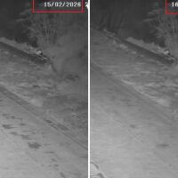 Най-доброто куче или хитър стопанин? Любимецът създаде сметище, изхвърляйки торби боклук сам (ВИДЕО)