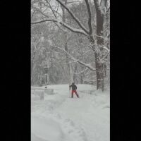 Нюйоркчани карат ски в Сентрал Парк след обилните снеговалежи (ВИДЕО)