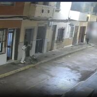 Четирима опитали да отвлекат жена, кучето осуетило нападението (ВИДЕО)