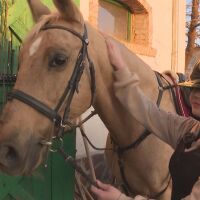 Едно необичайно приятелство: Йони и нейния кон Приказка 