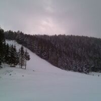 Мальовица преминава към 100% зелена енергия