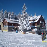 Зимен фестивал събира малки и големи край хижа „Алеко“