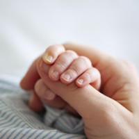 Бебето с 1 000 000 левкоцита беше изписано от ИСУЛ след успешна трансплантация 