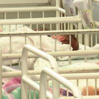 Десет бебета проплакаха тези коледни празници