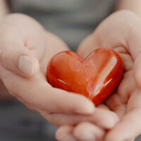 Протегни ръка и дари! 450 мл кръв спасяват три човешки живота (ОБЗОР)