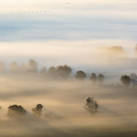 До 13 градуса в четвъртък