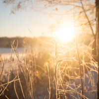 Проф. Георги Рачев: Сравнително топъл и с нормални валежи декември, без сняг поне до 8-ми