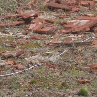 Незапомнена буря в Ямболско: Какви са щетите?