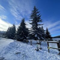 И във вторник ще е студено, но от средата на седмицата започва затопляне