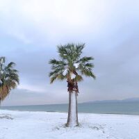 Сняг, заледявания и силни ветрове: Опасни условия за пътуване, Гърция затваря училища (СНИМКИ, ВИДЕО)