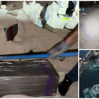 Испанската полиция „изкопа“ с лопати близо 10 тона кокаин, заровен в морска пратка със сол (СНИМКИ и ВИДЕО)