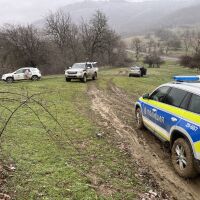 7 са отровените лешояди: "Дори и разследващите, и ние да знаем кой стои зад това, не може да се докаже"