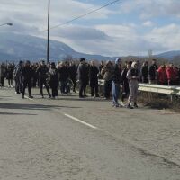 След удар: Кон се врязва в купето на кола, в която загива 18-годишно момиче, съдят виновните 