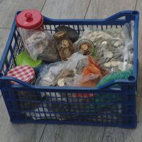 Фондация събира стотинки от буркани и касички в помощ на бездомни животни