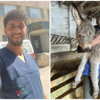 Шофьор на линейка, който отглежда магарета: Необикновената история на Трифон от село Бутан