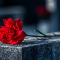 Обявена за мъртва: 103-годишна жена оживя в деня на погребението си (СНИМКА)