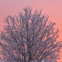 Опасно студено време днес, 18 януари, в цялата страна