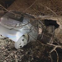 Директорът на Национален парк „Рила“ e катастрофирал, дрегерът е отчел 2,3 промила алкохол и марихуана