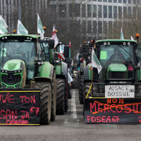 Сделката с Меркосур: "Европа рискува да доунищожи земеделието си". "Ще унищожат пазара на мед"