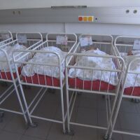 „Цял един град“: Бабин ден в „Шейново“, от болницата се похвали с над 270 хил. родени бебета 