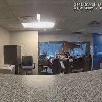 Елен нахлува през прозорец в банка и се бори с полицаите (ВИДЕО)