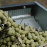 Сделката с Меркосур - „нов пазар за 300 милиона“: 344 европейски храни и продукти са "защитени", сред тях и 3 български