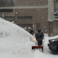 Докато някои умират от студа: В САЩ излязоха с шейни и по бански въпреки бурята (ВИДЕО)