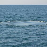 Откриха гигантска дупка в океана, пълна с мистериозни вируси 