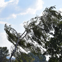 Скоростта на вятъра в Сливен е 72 км/ч