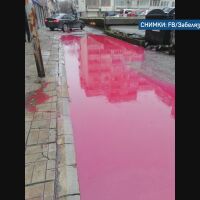 Мистериозни червени локви се появиха в Пловдив (ВИДЕО И СНИМКИ)