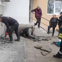 В Бургас спасиха коте, зазидано под блок по време на строителни дейности (ВИДЕО)