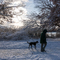 Февруари ни посреща със сняг, студ и поледици