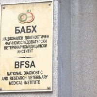 Откриха над 10 тона месо в незаконна кланица в град Дебелец