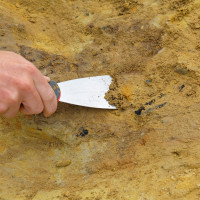 Археолози разкриха древни следи от живот в Лом при разкопките на Алмус