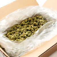 Конфискуваха 40 тона марихуана в Северна Македония