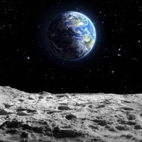 Учени отгледаха нахут в лунна „почва“ с помощта на торни червеи и гъби