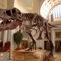 Изработиха ръчна чанта с колаген от динозавър (ВИДЕО)