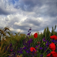 Облачно, но температурите остават високи в понеделник – 20 април