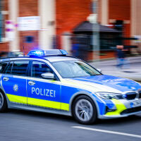 Oткраднаха голямо количество патрони, предназначени за германската армия