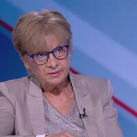 Комитова за Невзоров: Един чуждестранен инвеститор с поведение на бандит, който подлежи на мобилизация