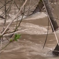 Предупредиха жителите на Елхово за опасно покачване на нивото на река Тунджа