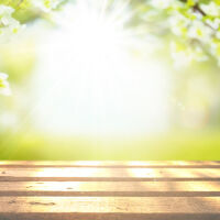 Студена сутрин и до 17° през дена във вторник – 10 март