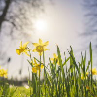 Минусови температури тази сутрин, но после до 15 градуса